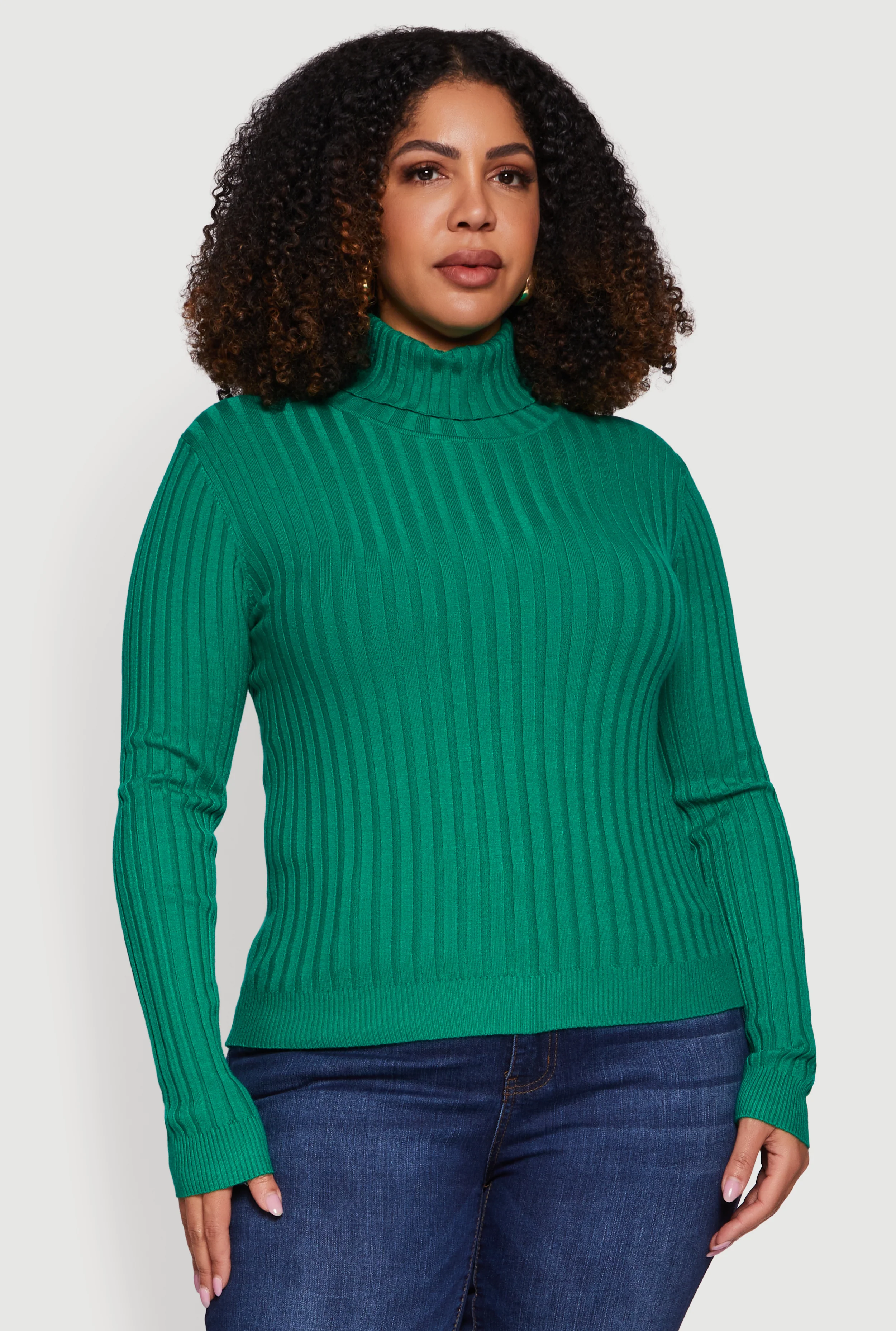 Plus Size Ribbed Knit Turtleneck Sweater